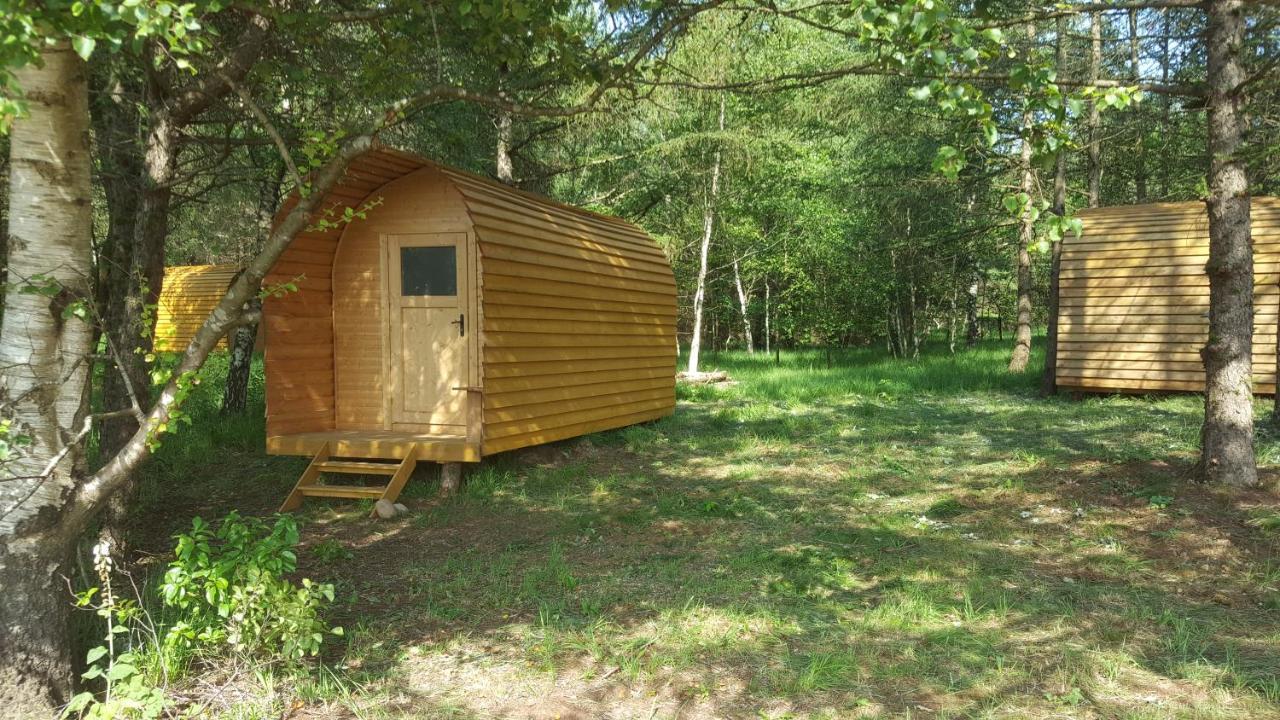 Camping Glamping Pod